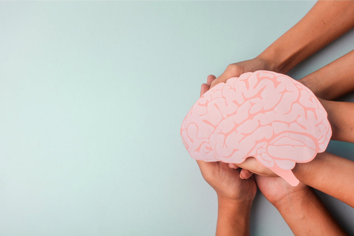 Building Emotional Stamina for School: Small Daily Habits That Strengthen Regulation