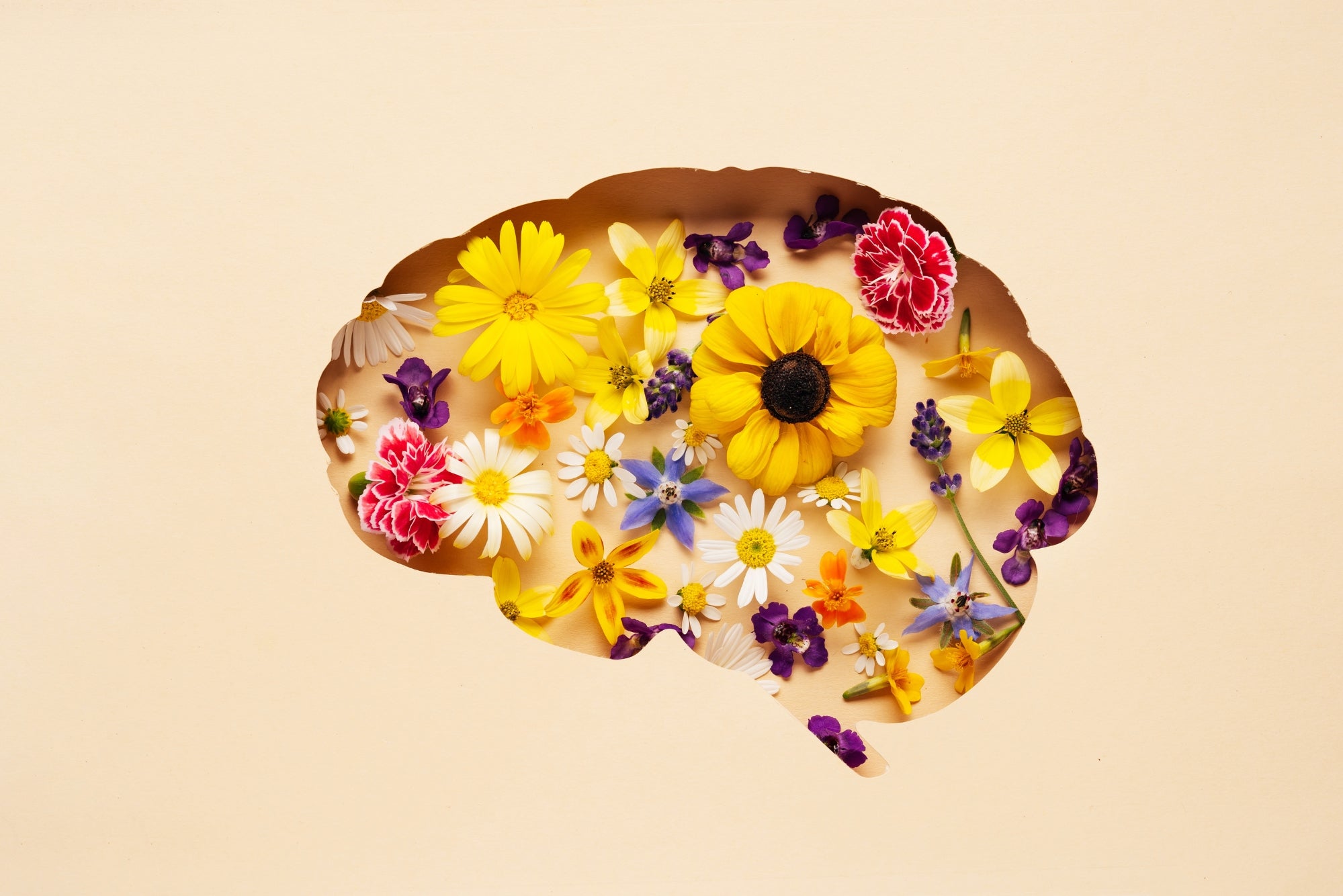 Neurodiversity, biology & how supplements can help.