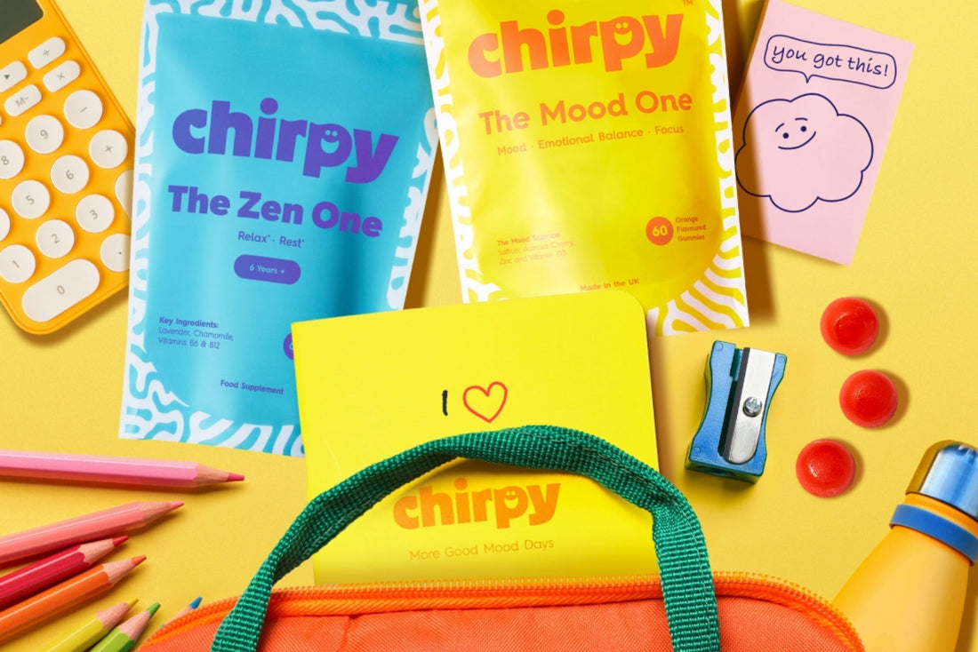 The Mental Pencil Case: Five nervous‑system regulation tools to help every child before going back to school