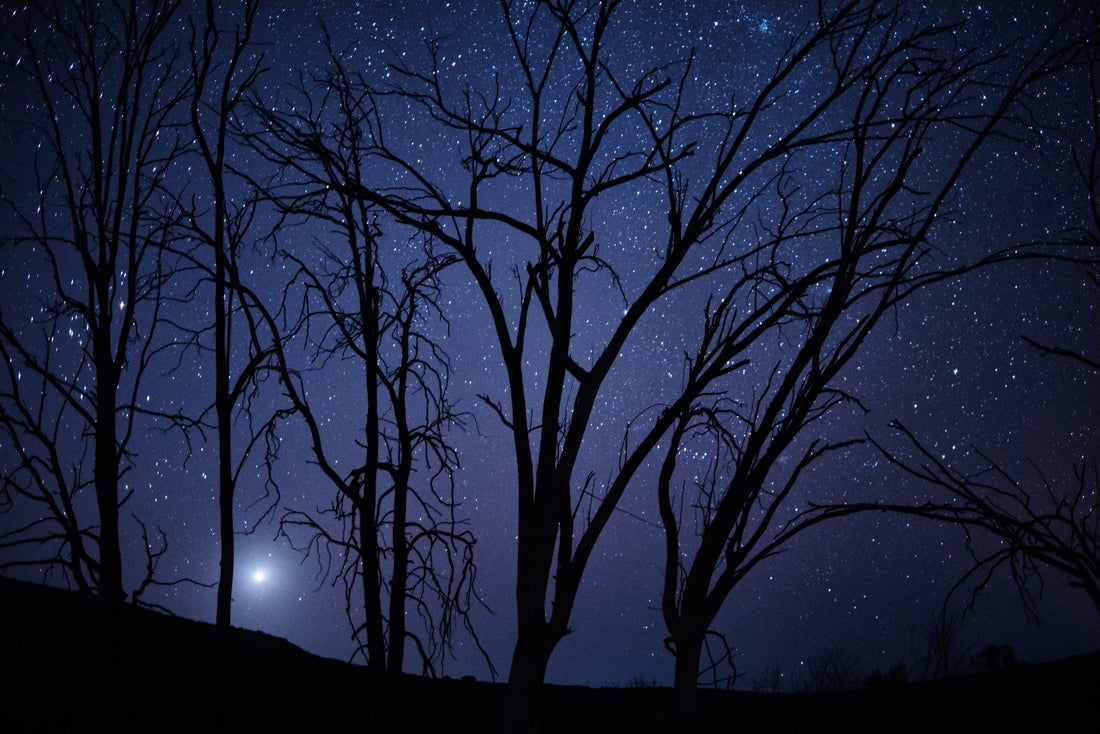 Goodnight Yoga: 6-10 Yrs