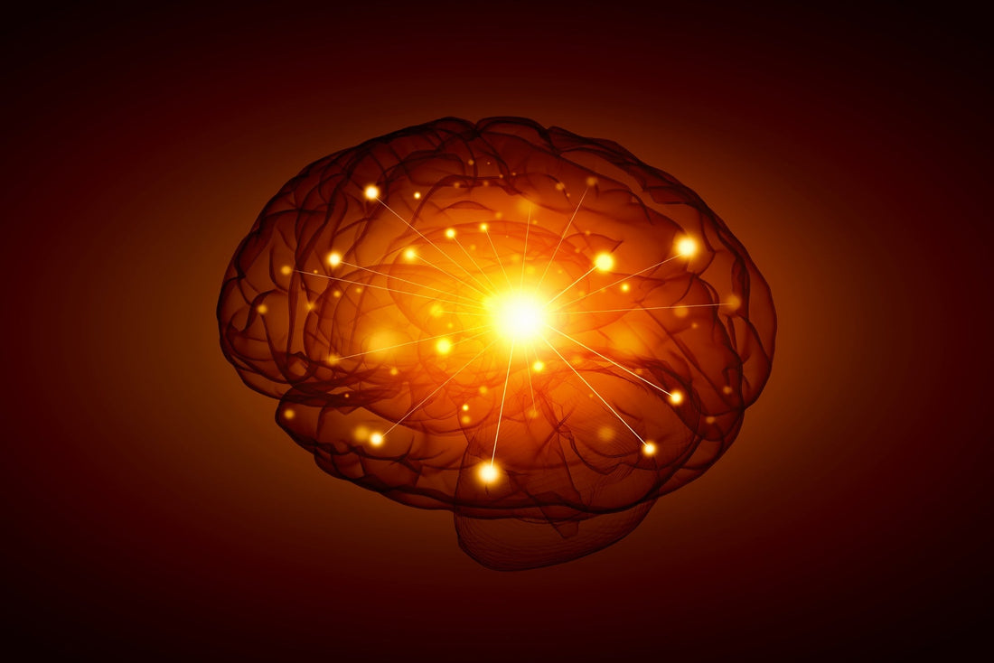 The biology of why kids' mental wellbeing is in decline... and what we can do about it.