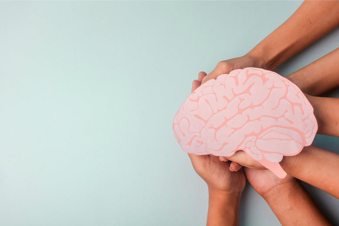 Building Emotional Stamina for School: Small Daily Habits That Strengthen Regulation