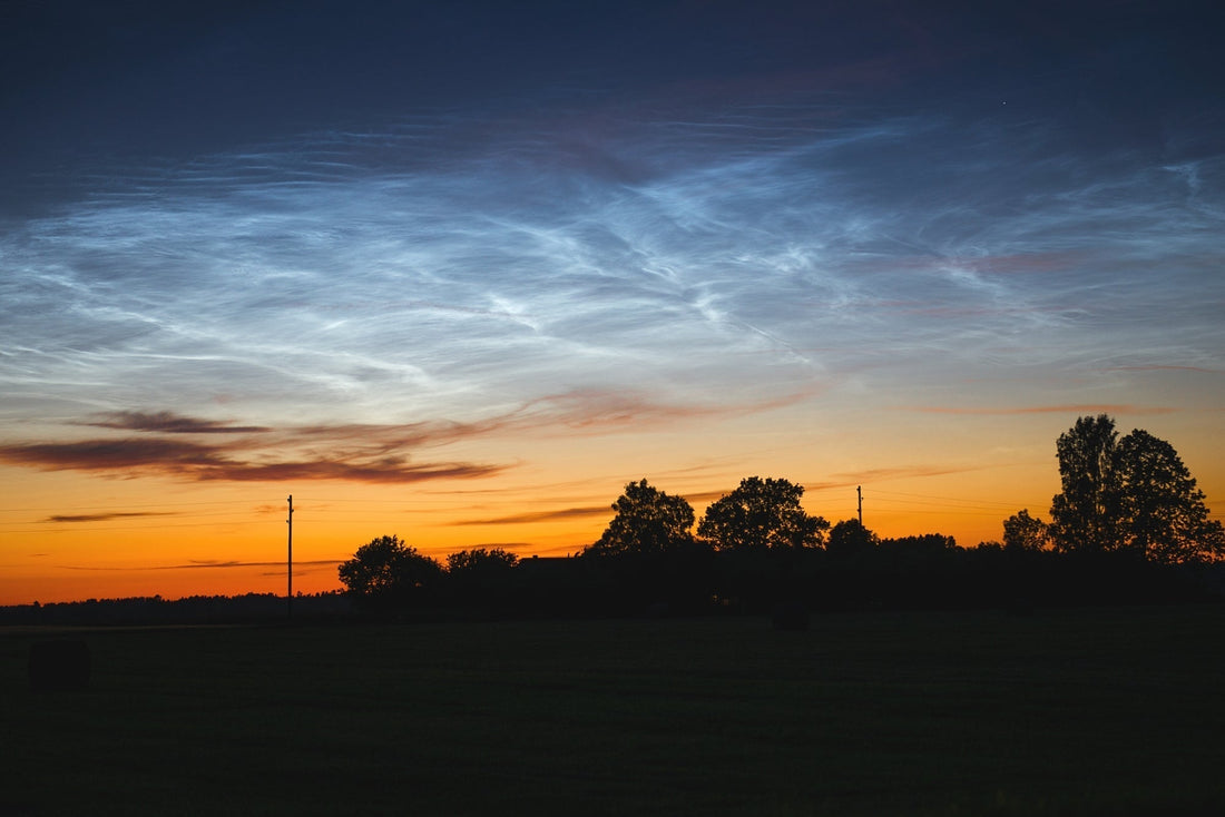 Chirpy Meditation 2 - Breathing into Rest: 10+ Yrs