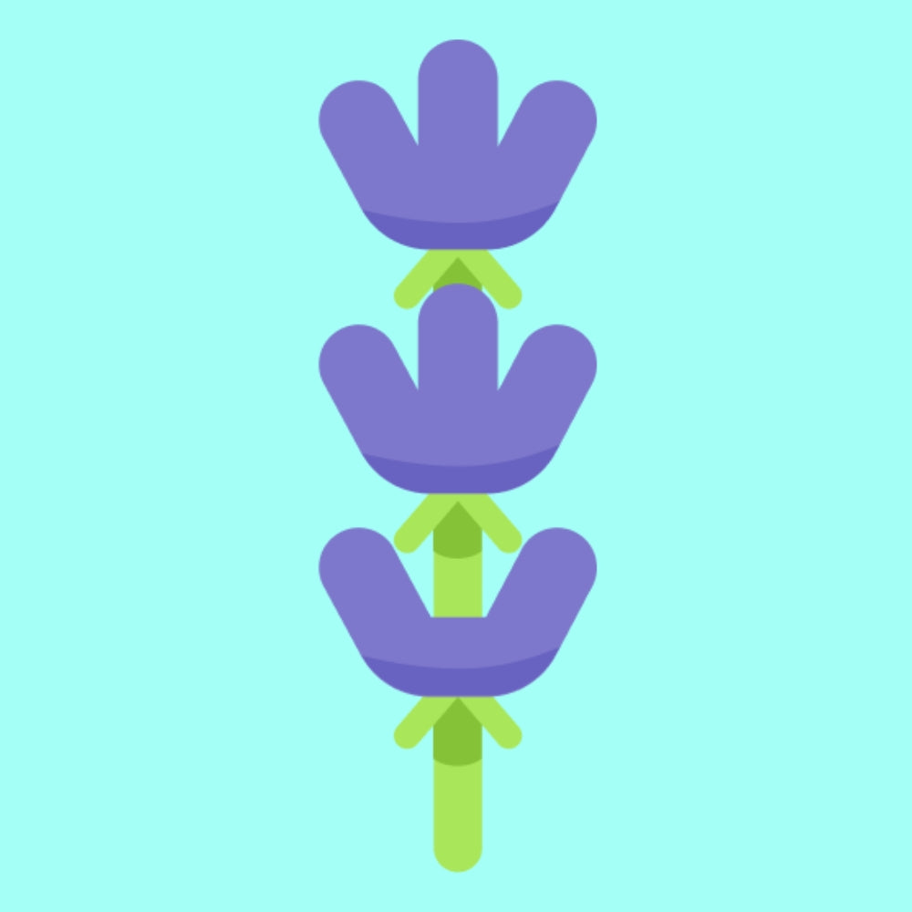 Chirpy